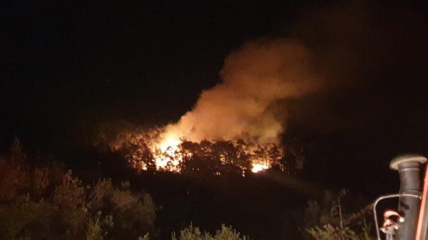 Kovada Milli Parkı'nda Orman Yangını: Vatandaşlar Seferber Oldu