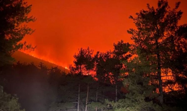 Bodrum Yangınında 3 Tutuklama