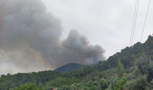 Aydın'da Yeni Yangınlar Başladı 