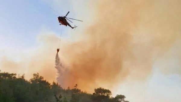 Çanakkale Ezine'deki Orman Yangını Kontrol Altına Alındı