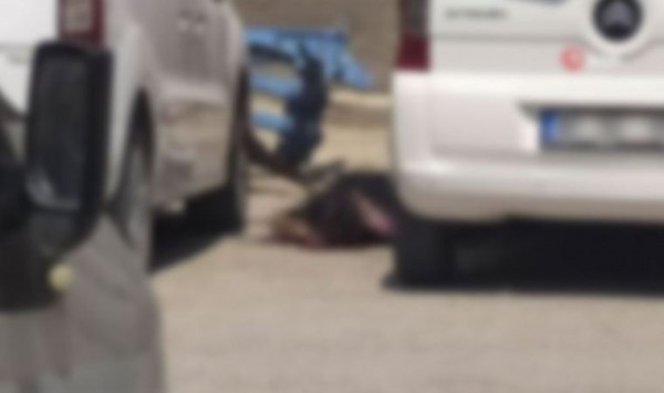 Bombalı Eylem Hazırlığındaki Suriyeli Etkisiz Hale Getirildi