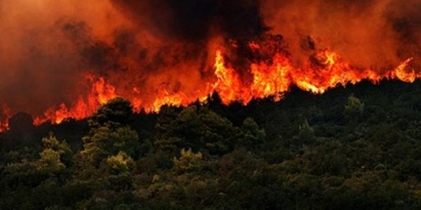 Yangınlar Nedeniyle Muğla'da 66 Bin Hektar Ormanlık Alan Kül Oldu