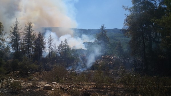Burdur'un Bucak İlçesinde Orman Yangını: Çevre Köyler Boşaltılıyor