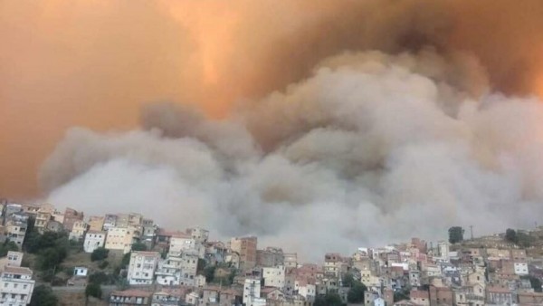 Cezayir'de Orman Yangınları Sebebiyle En Az 25 Asker Hayatını Kaybetti