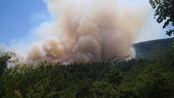Burdur Bucak'taki Yangınla İlgili 6 Kişi Gözaltına Alındı
