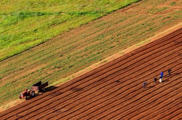 Sudan Türkiye'ye 100 Bin Hektar Tarım Arazisi Tahsis Etti