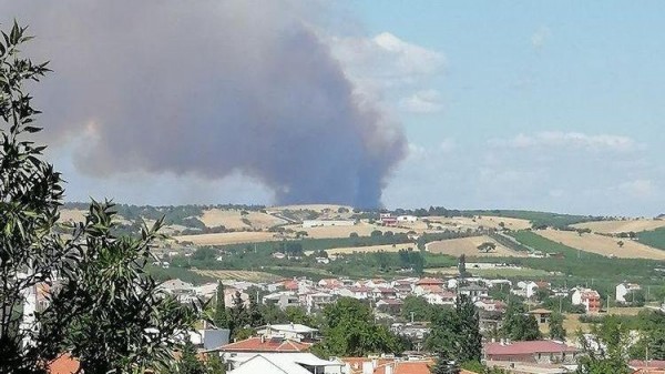 Çanakkale'de Orman Yangını