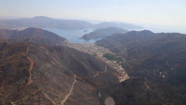 Muğla Büyükşehir Belediye Başkanı: Şehrimiz Ormanlarının Yüzde 8'ini Kaybetti