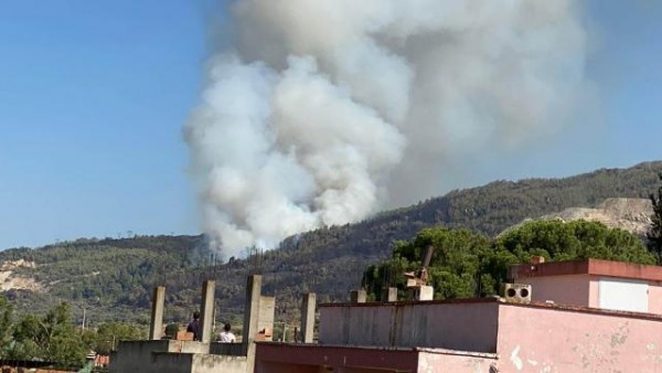 Aydın'da Orman Yangını Nedeniyle Bir Mahalle Boşaltıldı