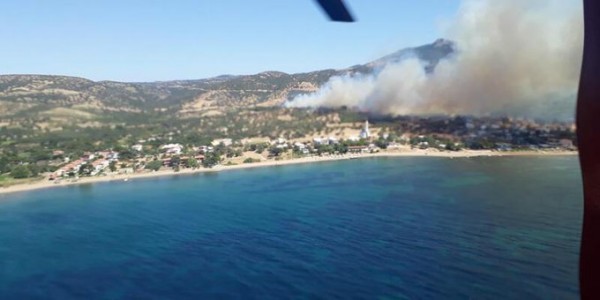Çanakkale'nin Ezine İlçesinde Orman Yangını