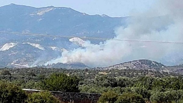 Milas Kargıcak'ta Orman Yangını Çıktı