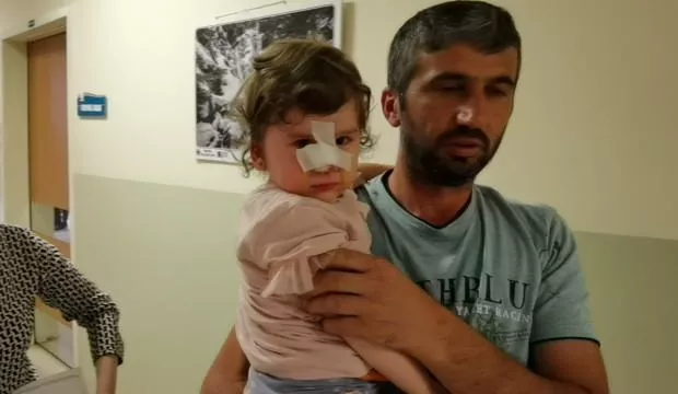24 Saatte 2 Çocuk Köpek Saldırısına Uğrayarak Yaralandı