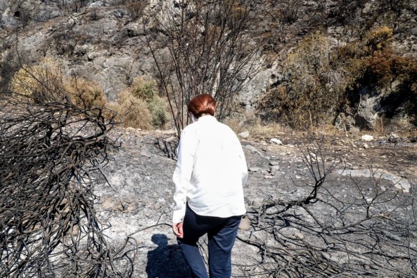 Akşener Muğla Milas'ta: Biz Bina Değil, Ormanlarımızı Geri İstiyoruz