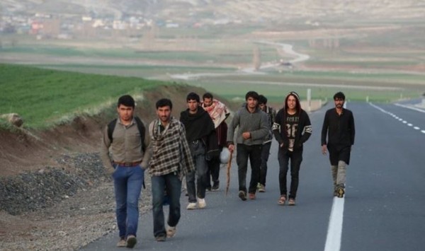 Afganistan'dan Her Hafta 20 ila 30 Bin Kişi Kaçıyor
