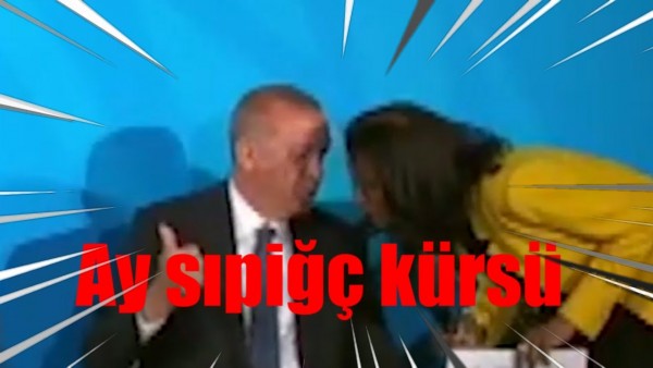 AKP'li Cumhurbaşkanının Başı Tercümanlarıyla Belada