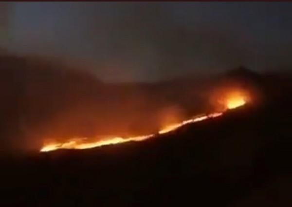 Hakkari'deki Orman Yangını Kontrol Altına Alındı