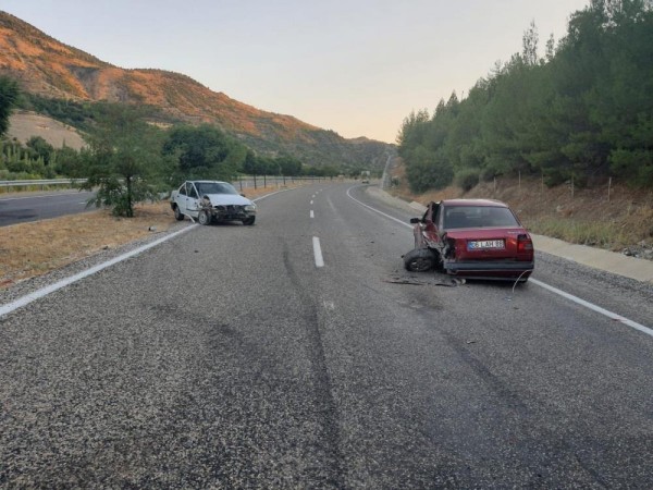 Yola Çıkan Başıboş Köpek Trafik Kazasına Neden Oldu: 2 Yaralı