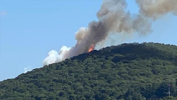 Heybeliada'da Orman Yangını