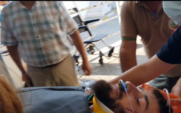 Kazdağları'ndaki Orman Yangınından Kaçan Ayı Bir Gönüllüye Saldırdı