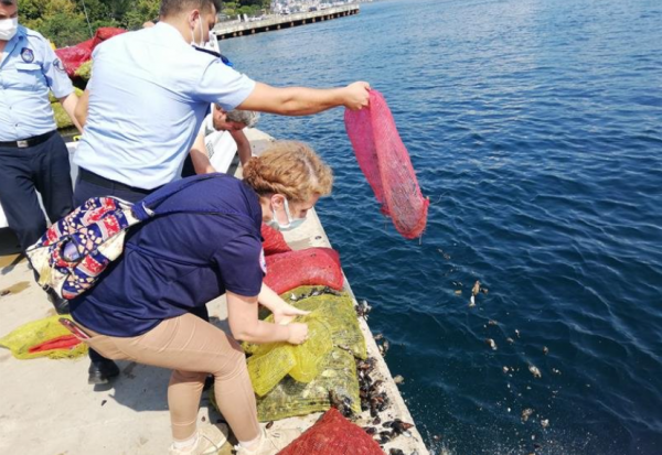 Kaçak 1 Ton Midye Ele Geçirildi