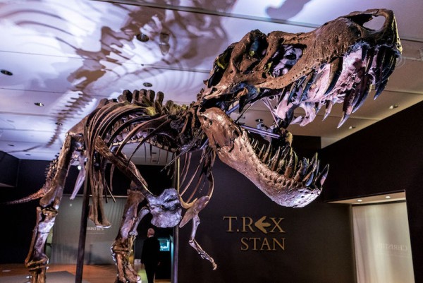 Araştırma: T-Rex Yemek Seçen Hassas Bir Gurmeydi