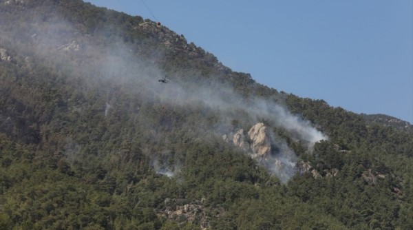 İzmir'de Aliağa ve Foça'da Orman Yangını