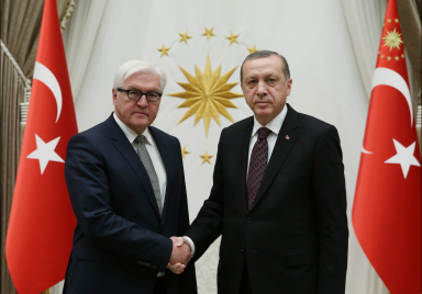 AKP'li Cumhurbaşkanı ve Alman Cumhurbaşkanı Arasında Görüşme