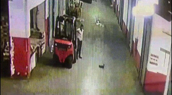 Yavru Kediyi Tekmeleyerek Öldürdü