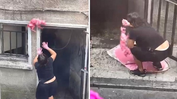Ölü Kedileri Boyayıp Cama Astı, 'Sanat Yaptım Siz Ne Anlarsınız' Dedi