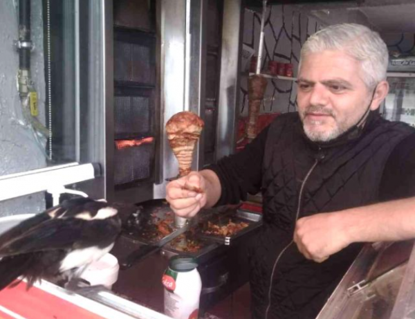 Bursa'da Bir Saksağan Dönerciyi Haraca Bağladı