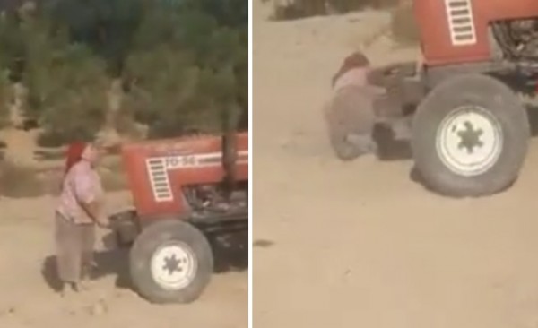 Öz Ablasını Miras Kavgası Nedeniyle Traktörle Ezdi