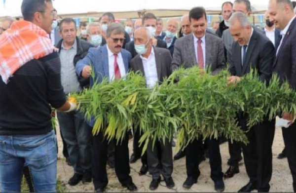 Burdur'da Resmi Törenle Kenevir Hasadı