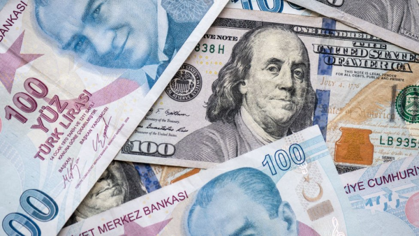 Dolarizasyona Adım Adım