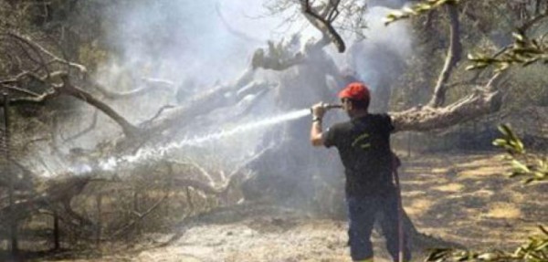 Antalya'da Orman Yangınına Neden Olan Ruslar Tutuklandı