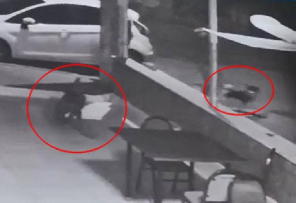 Pitbull, Bir Köpeğe ve Sahibine Saldırdı