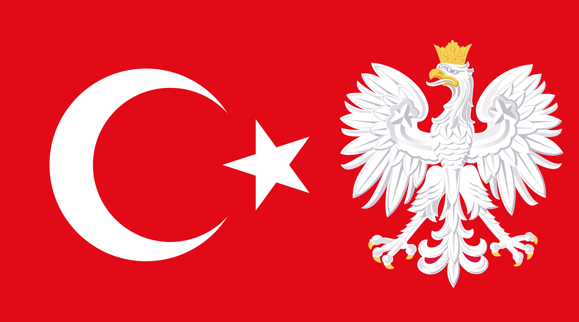Zihin Jimnastiği: Polonya Türkiye Hattı