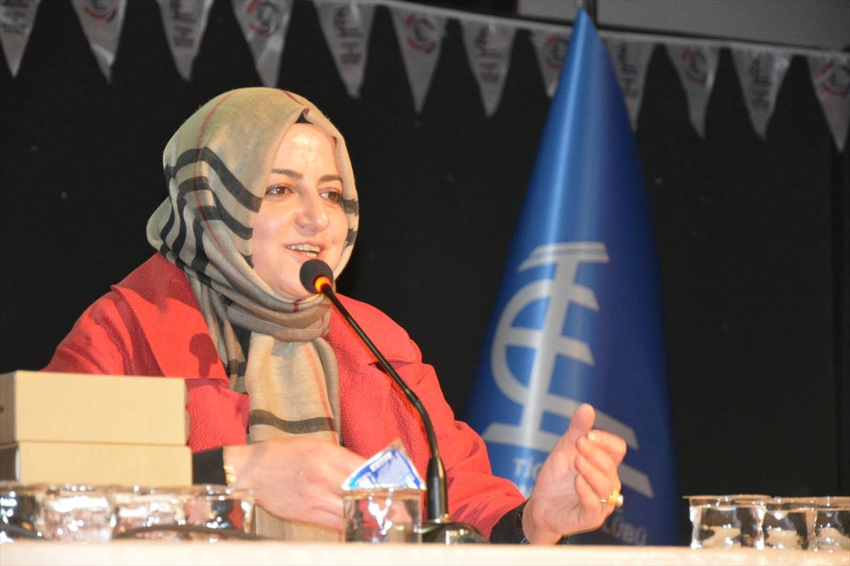 Çığa Cumhurbaşkanı Başdanışmanı Mı Neden Oldu?