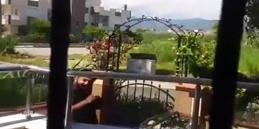 Sokak Hayvanlarını Besleyen Kadını Böyle Tehdit Etti