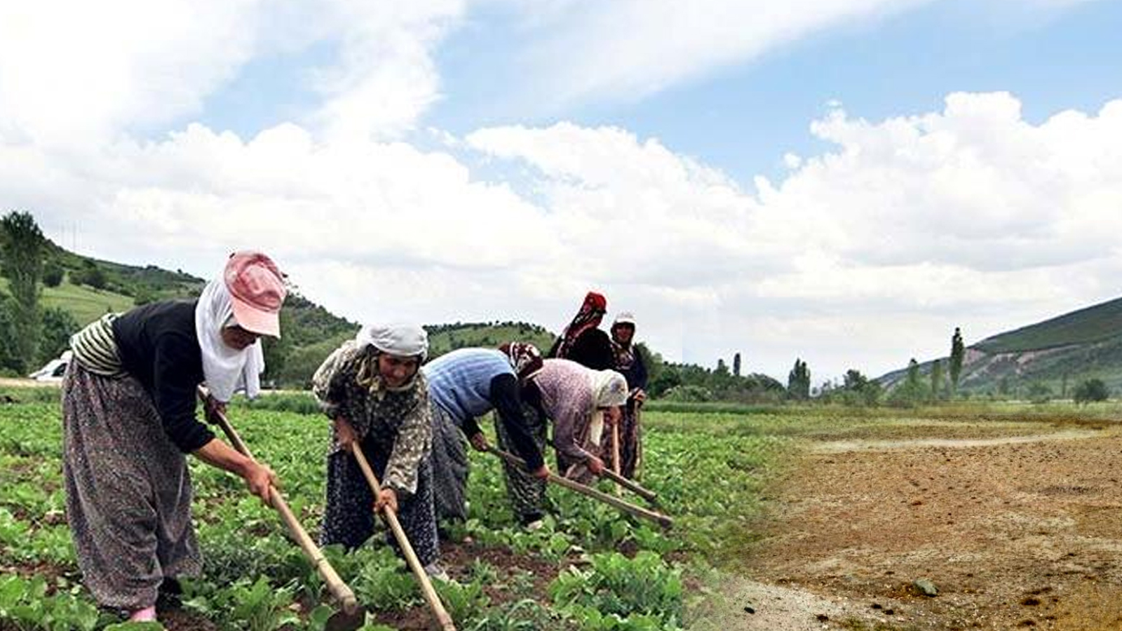 Bir Yılda '5 Müteahhite' Ödenen Para Tarım İthalatına Denk