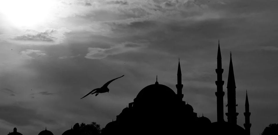 Nasıl Delirdik?