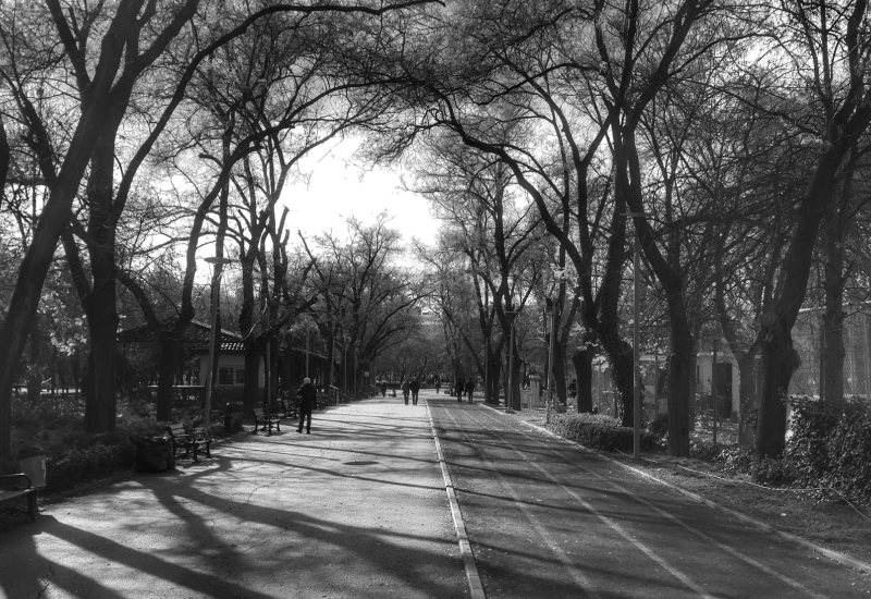 Bir Yol Hikayesi