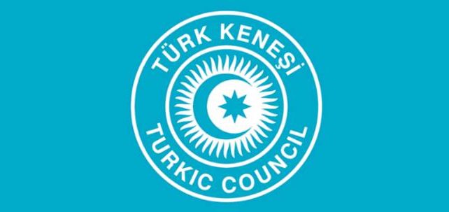 Türk Keneşinden Ne Bekliyoruz