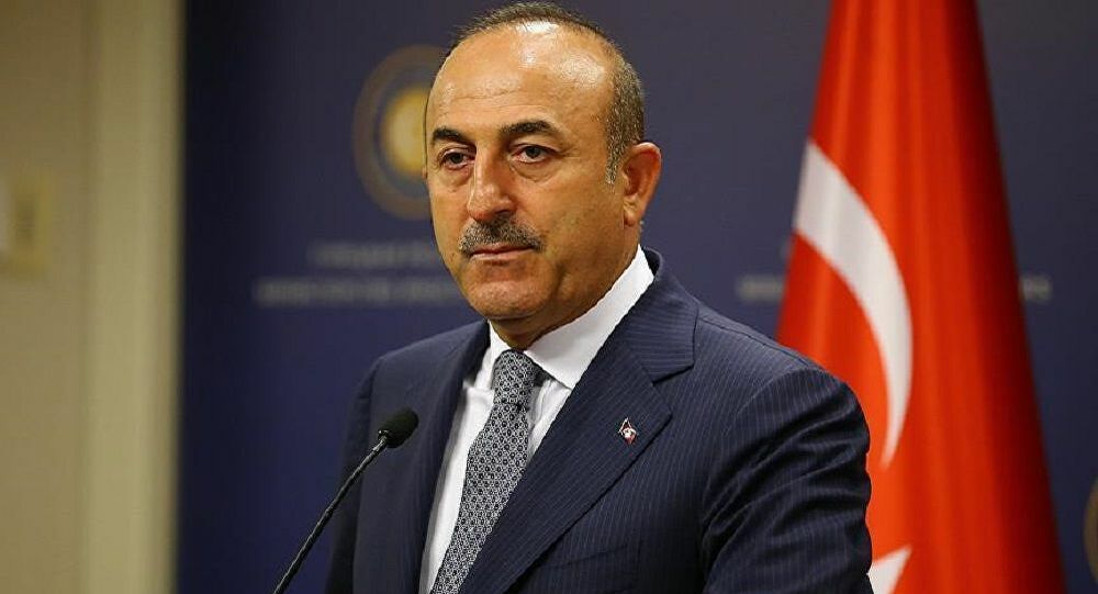 Çavuşoğlu, Yurtdışında Yaşayan Türkler Hakkında Açıklama ve Vefat Sayısı