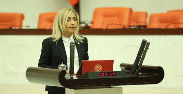 İYİ Partili Çokal Mecliste
