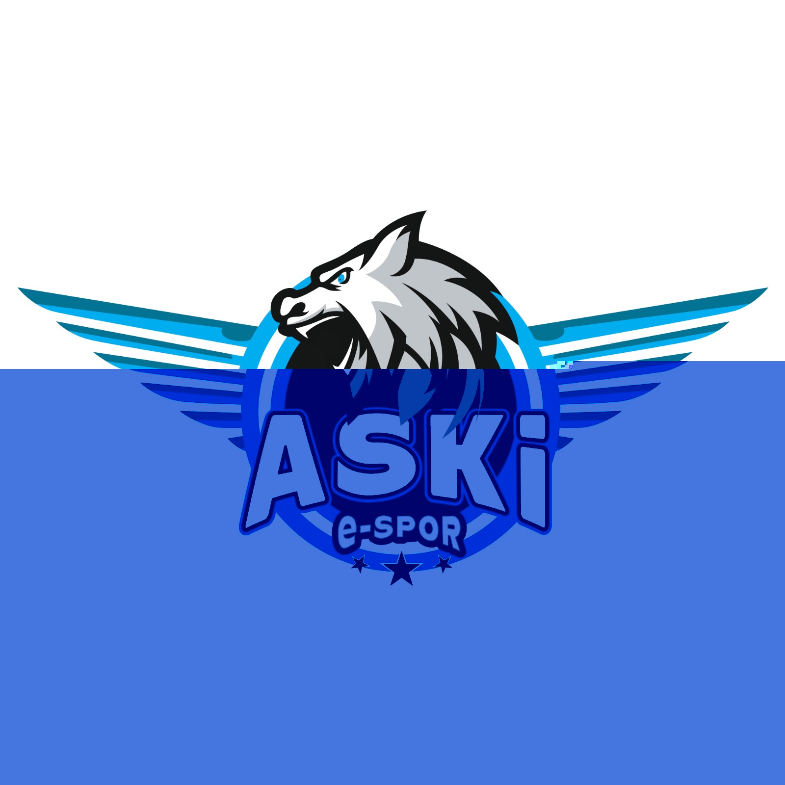 ABB ASKİ E-Spor FİFA EVDEKAL KUPASI Finali