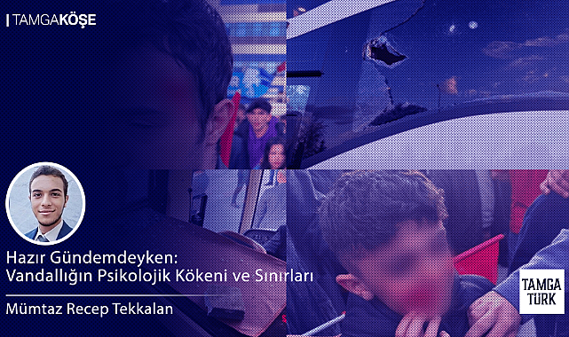Hazır Gündemdeyken: Vandallığın Psikolojik Kökeni ve Sınırları