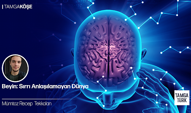 Beyin: Sırrı Anlaşılamayan Dünya